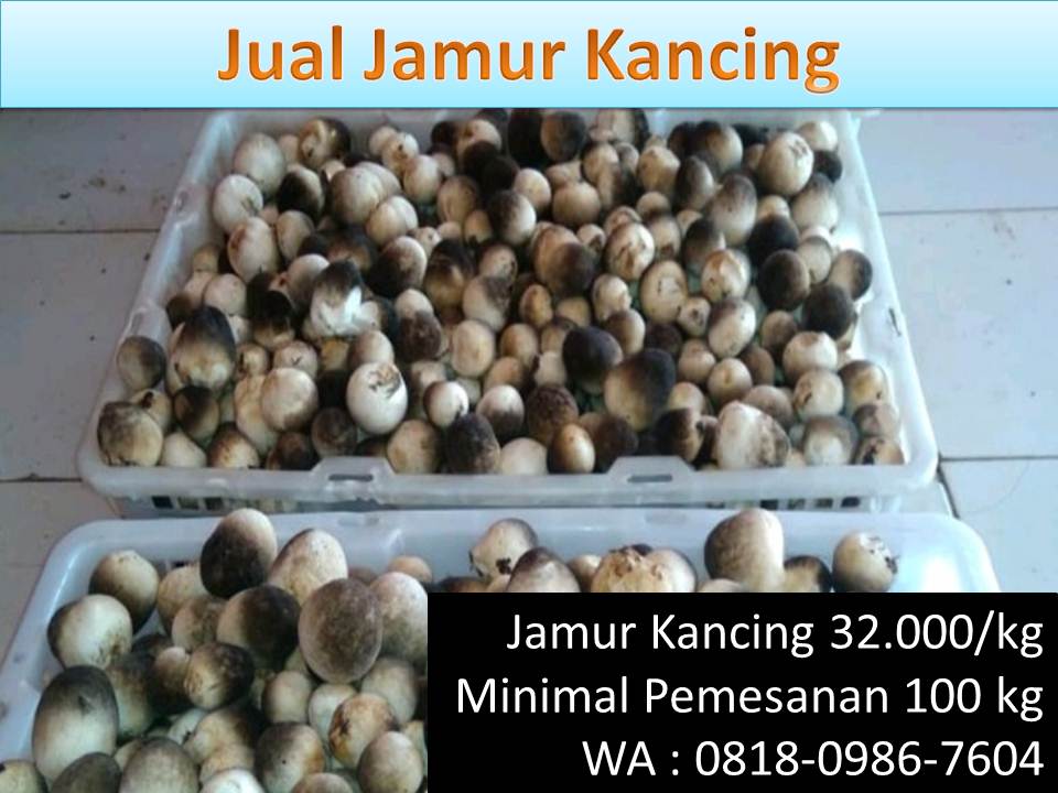 Cara memasak jamur kancing bumbu merah - barang yang paling laku di indonesia.  Resep-jamur-jamur-kancing